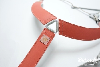 SaxStrap LithePremiumⅡ 2025年限定モデル コーラル Mサイズ