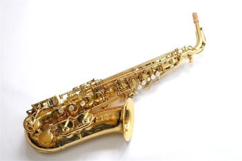 Alto Saxophone Anchert ”Sunny”