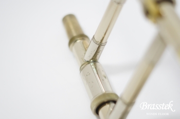 Tenor Bass Trombone 42BO GL