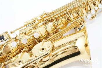 Alto Saxophone  Anchert ”Sunny”