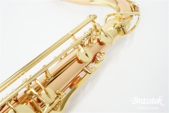 Tenor Saxophone T-WO2 [即納可能]