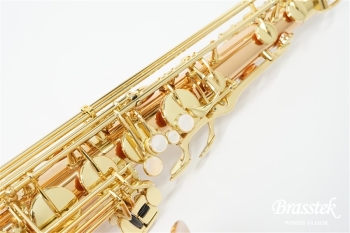 Tenor Saxophone T-WO2 [即納可能]