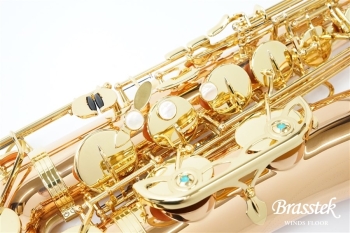 Tenor Saxophone T-WO2 [即納可能]