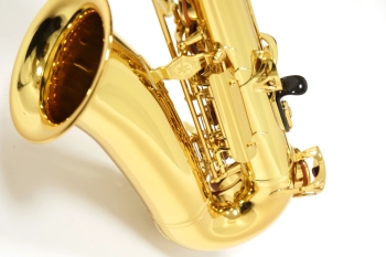 Alto Saxophone YAS-280