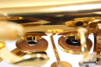 Alto Saxophone SA80 Serie II FIRE BIRD Limited Edition