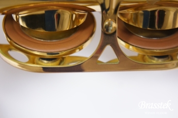 Alto Saxophone SA80 Serie II FIRE BIRD Limited Edition