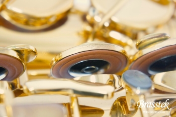 Alto Saxophone SA80 Serie II FIRE BIRD Limited Edition