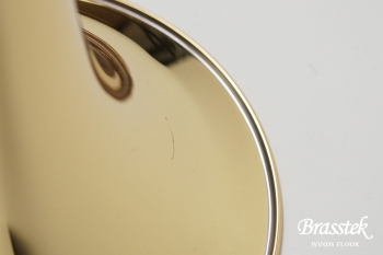 Tenor Trombone YSL-895EN