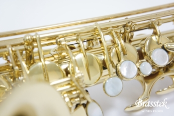 Alto Saxophone Axos 