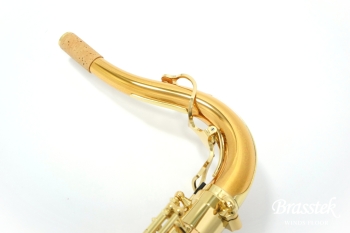 Tenor Saxophone T-WO20