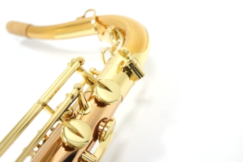 Tenor Saxophone T-WO20