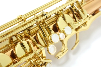 Tenor Saxophone T-WO20
