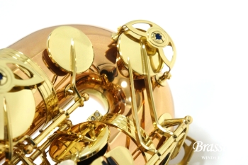 Tenor Saxophone T-WO20