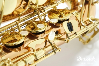 Tenor Saxophone T-WO20