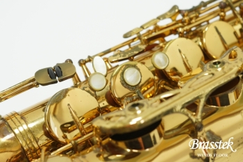 Tenor Saxophone Reference 36