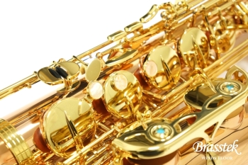 Tenor Saxophone  T-WO2