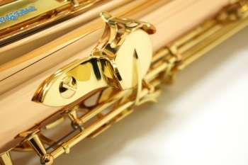 Tenor Saxophone  T-WO2