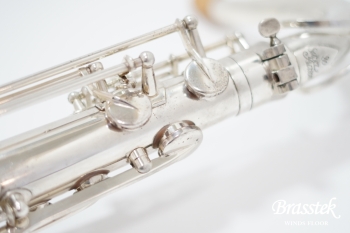 Tenor Saxophone SA80 SERIEⅡ SP