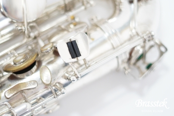 Tenor Saxophone SA80 SERIEⅡ SP