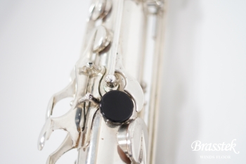 Tenor Saxophone SA80 SERIEⅡ SP