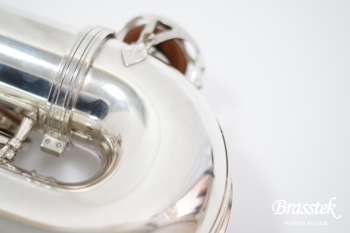 Tenor Saxophone SA80 SERIEⅡ SP