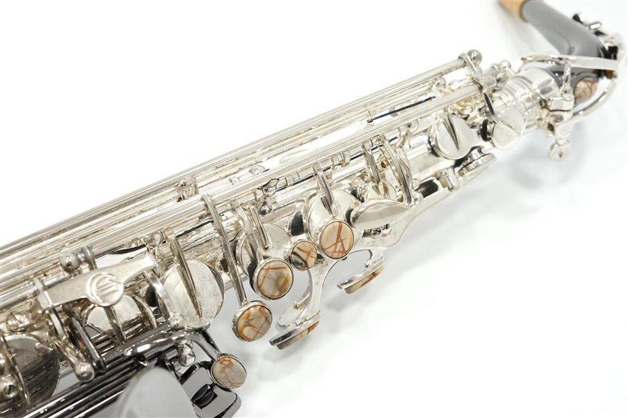 Alto Saxophone  ジェラルド・アルブライトモデル GA5-SB