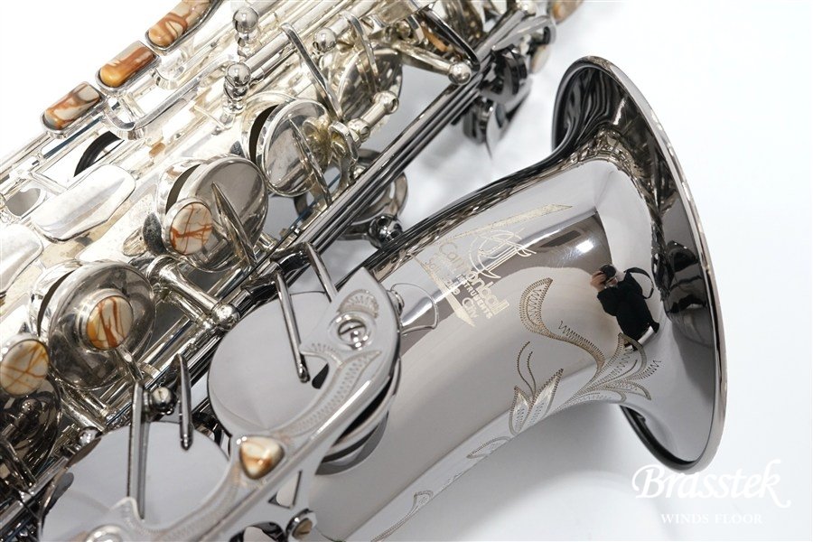 Alto Saxophone  ジェラルド・アルブライトモデル GA5-SB