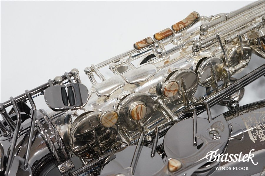 Alto Saxophone  ジェラルド・アルブライトモデル GA5-SB
