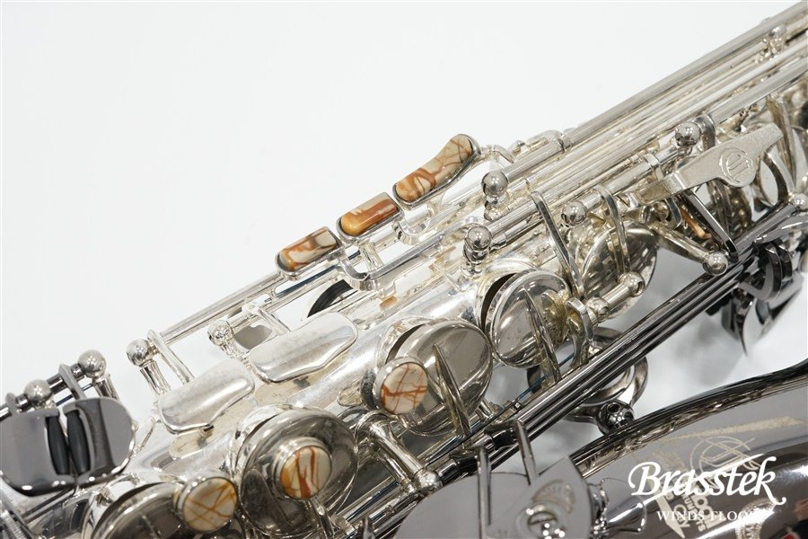 Alto Saxophone  ジェラルド・アルブライトモデル GA5-SB