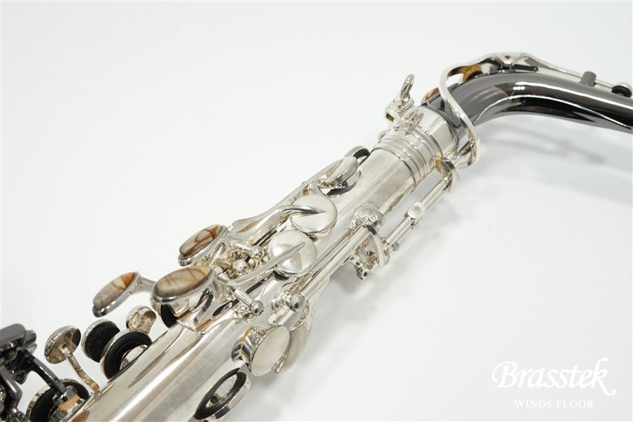 Alto Saxophone  ジェラルド・アルブライトモデル GA5-SB