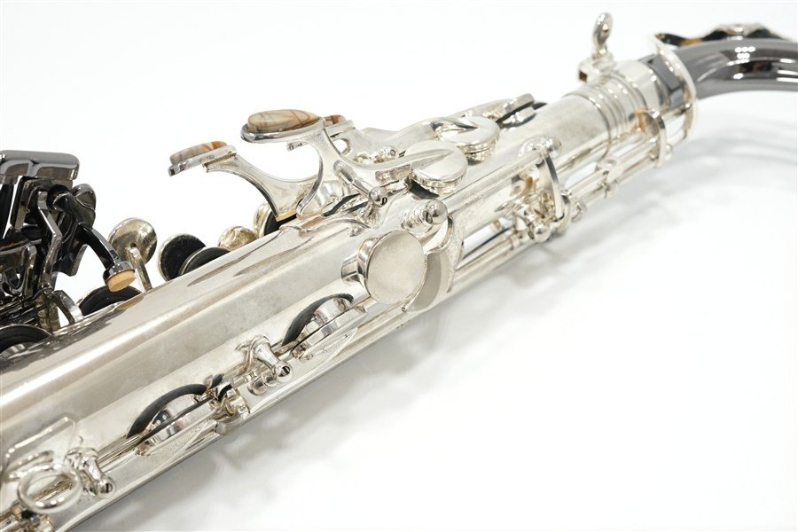 Alto Saxophone  ジェラルド・アルブライトモデル GA5-SB