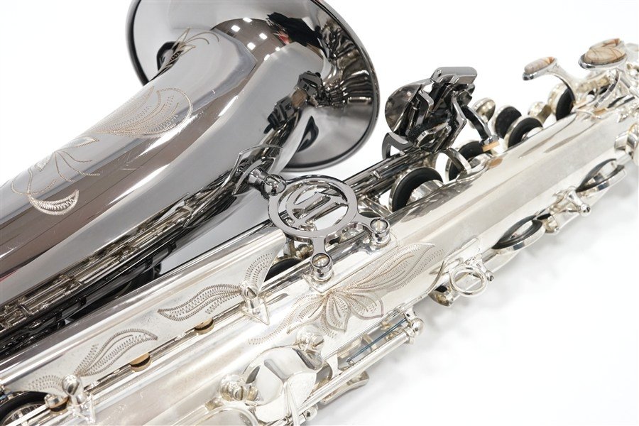 Alto Saxophone  ジェラルド・アルブライトモデル GA5-SB