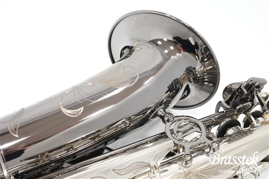 Alto Saxophone  ジェラルド・アルブライトモデル GA5-SB