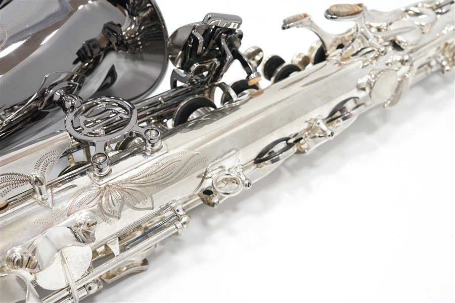 Alto Saxophone  ジェラルド・アルブライトモデル GA5-SB