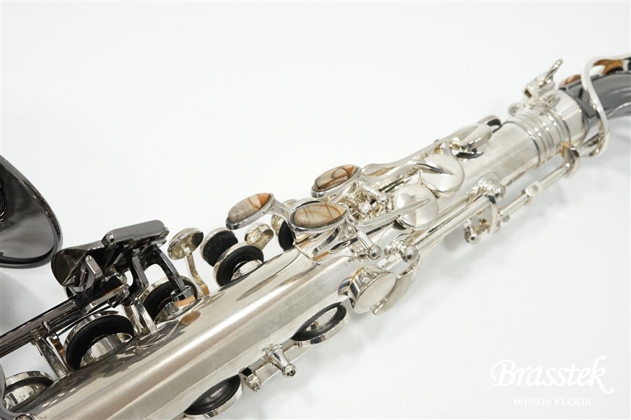 Alto Saxophone  ジェラルド・アルブライトモデル GA5-SB