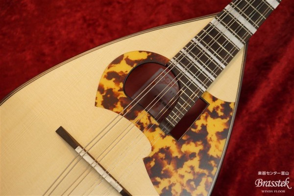 Mandolin　MS-2bis