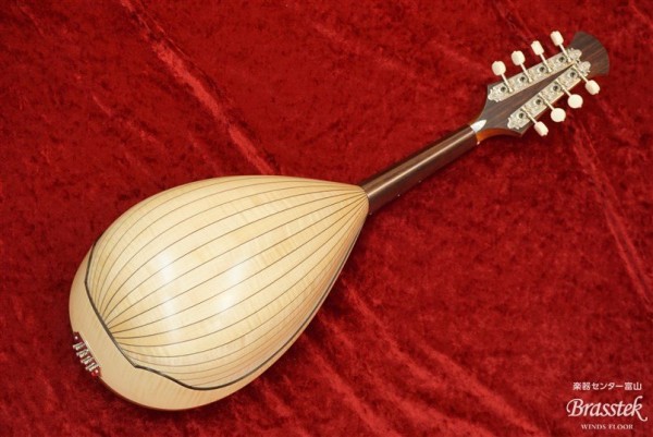 Mandolin　M-2
