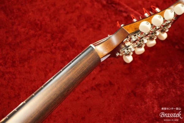 Mandolin　M-2