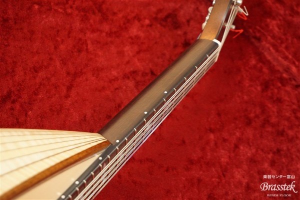 Mandolin　M-2
