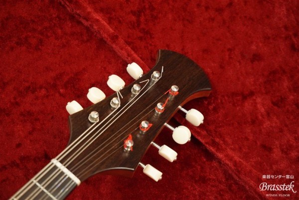 Mandolin　M-2