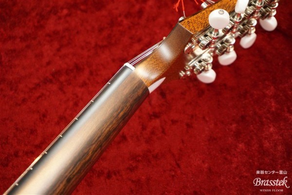 Mandolin　M-1