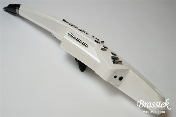 Aerophone AE-10