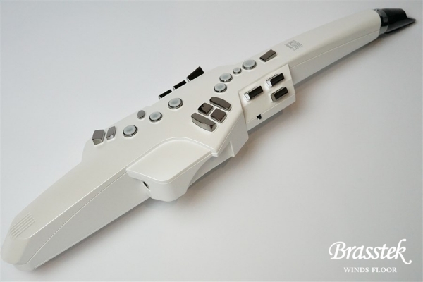 Aerophone AE-10