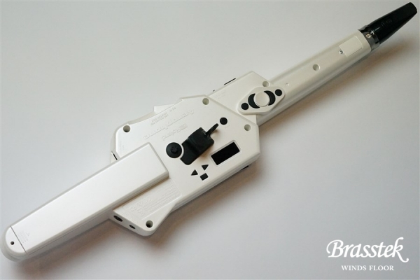 Aerophone AE-10