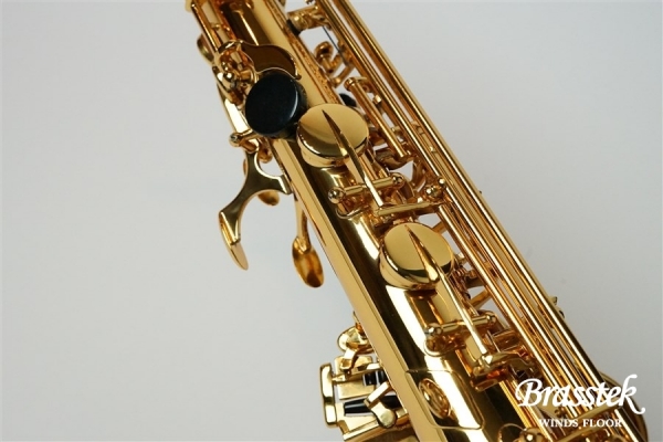 AltoSax Anchert_2020 New Model “Sunny”