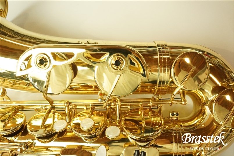 TenorSax Standard Series GL ★すぐに吹ける入門セット付★