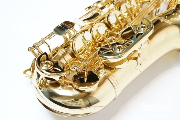 Alto Saxophone Standard Series GL 入門セット【送料無料】