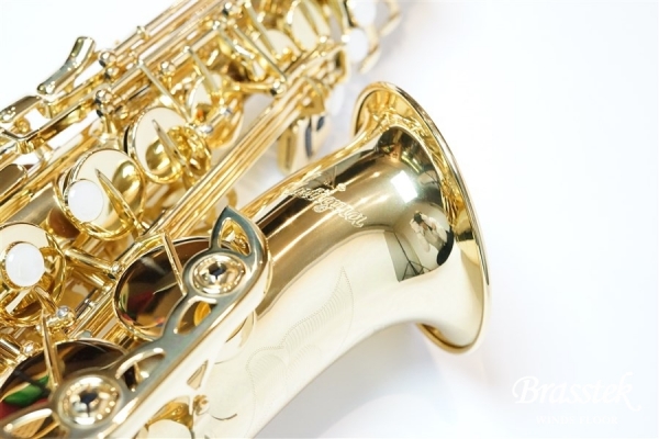 Alto Saxophone Standard Series GL 入門セット【送料無料】