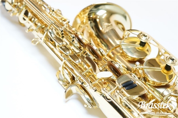 Alto Saxophone Standard Series GL 入門セット【送料無料】