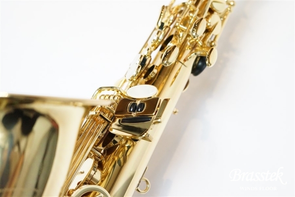 Alto Saxophone Standard Series GL 入門セット【送料無料】